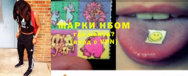стаф Алексин
