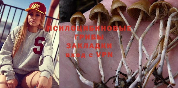 MESCALINE Алзамай