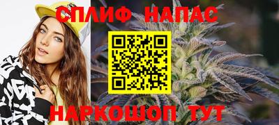 МДПВ Дубна
