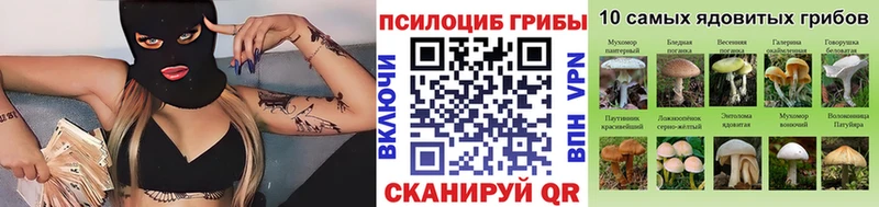 закладка  Первоуральск  Галлюциногенные грибы мицелий 