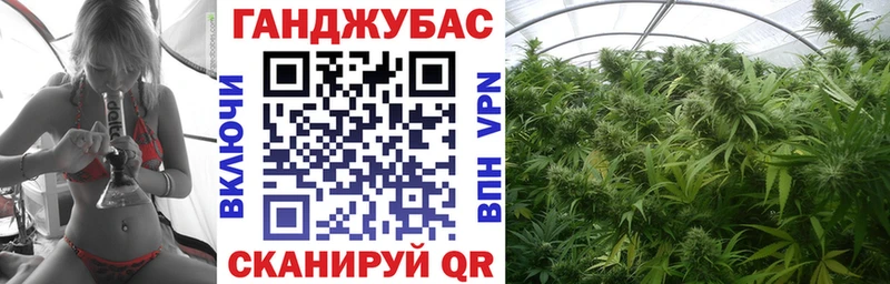 Конопля сатива  Первоуральск 